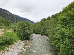 iIanz8