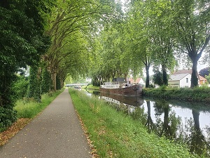 neuenburg13