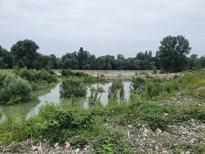 neuenburg2